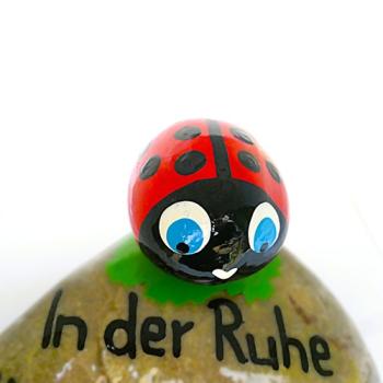 Marienkäfer in rot schwarz
